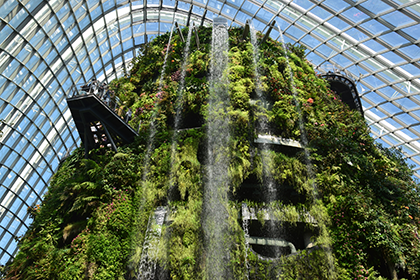 新加坡海滨花园温室